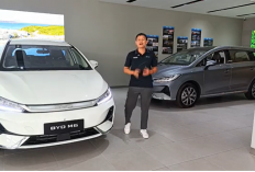 BYD M6 Tipe Standar vs Tipe Superior 2026: Perbedaan Harga, Fitur, dan Jarak Tempuh