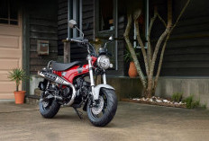Honda ST125 Dax 2026 Hadir dengan Warna Orang