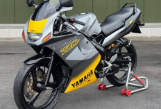 Performa Motor Legend Yamaha TZM 150, Cek Harganya 2025