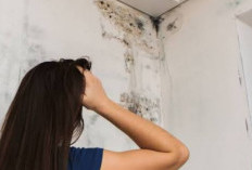 Cara Mengatasi Kebocoran pada Dak Beton dan Dinding Rumah