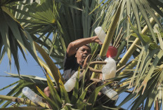 Desa Hendrosari Bangkit: Pembeli Datang, UMKM Tumbuh, Ekonomi Melaju Berkat Pemberdayaan Desa BRILiann