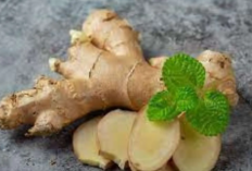 5 Bahan Herbal yang Disebut Berpotensi Membantu Kanker Prostat, Ada Jahe dan Kunyit