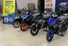 All Around View Yamaha MX King 150 2025