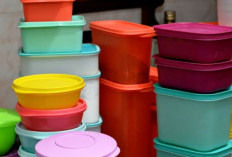 5 Cara Membersihkan Tupperware Bau dengan Bahan Sederhana di Rumah