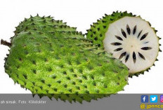 5 Manfaat Daun Sirsak Campur Madu, Ampuh Atasi Sakit Pinggang