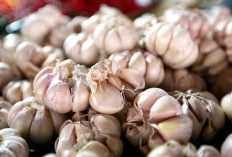 5 Herbal Alami Penurun Darah Tinggi, Mulai dari Jahe hingga Bawang Putih