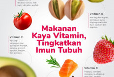 4 Makanan untuk Membantu Meningkatkan Imunitas Tubuh