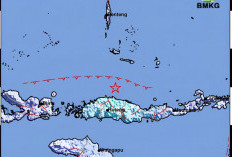 Gempa Susulan M 5,1 Kembali Guncang Flores, BMKG Imbau Warga Tetap Tenang