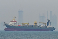 Sejak 28 Februari, Gencatan Senjata AS-Iran Bikin Harga Minyak Dunia Turun Drastis