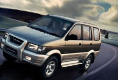 Isuzu Panther 2026: MPV Diesel Legendaris 