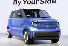 Suzuki e-Sky, Mobil Listrik Mungil dengan Jarak Tempuh 310 Km