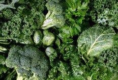 5 Makanan yang Bagus di Konsumsi Untuk Kesehatan Usus 