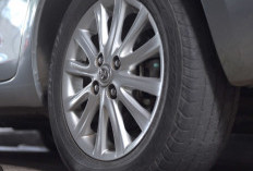 Cara Mudah Memperbaiki Ban Kempes Saat Offroad