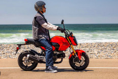 Honda Grom 2026 Meluncur dengan Warna Baru dan Mesin 123 cc