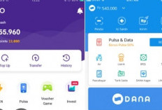 Cara Transfer Uang dari OVO ke DANA Terbaru