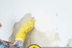 8 Rekomendasi Cat Tembok Murah dan Bagus Anti Jamur, Lembab, dan Tahan Lama