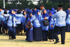 Realisasi Gaji ke-13 Tembus Rp24 Triliun, Sudah Tersalurkan ke 5,5 Juta Penerima