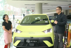 BYD ATTO 1: Harga, Spesifikasi, Promo Kredit 0%, dan Keunggulan Mobil Listrik Ramah Kantong