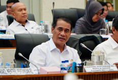 Pemerintah Salurkan 997,2 Ribu Ton Beras Mulai 17 Agustus, 33,24 Juta KPM Jadi Penerima