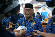 BKN Sebut 1.147 PPPK Paruh Waktu Sudah Beralih PPPK Penuh Waktu
