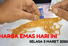 Harga Emas Hari Selasa 3 Maret 2026: Update Terbaru Antam, UBS, Galeri 24, dan Emas 24K Lokal