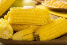  Manfaat Jagung bagi Kesehatan, Bantu Jaga Pencernaan hingga Daya Tahan Tubuh