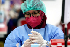 Surat Berlabel Kemenkes Soal Pengalihan PPPK ke CPNS Beredar Luas di Medsos, Kemenkes Angkat Bicara 