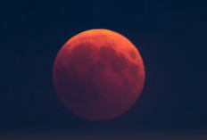 Jadwal Gerhana Bulan Total 3 Maret 2026 Bisa Dilihat di Indonesia, Cara Melihat Blood Moon dan Tips