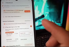 Pinjam Uang di Shoee Paylaer Cair ke DANA - Cara Pinjam Saldo Dana Pakai SPaylater Terbaru 