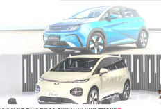 Wuling Cloud EV vs BYD Dolphin: Perbandingan Lengkap Desain, Fitur, Performa, dan Harga