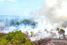 Prabowo Instruksikan Stop Pembakaran Hutan, Aturan Kearifan Lokal Resmi Dihentikan