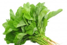 5 Makanan Kaya Magnesium untuk Meningkatkan Konsentrasi dengan Cepat