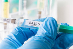 Sejak Januari - April 2026,  Sudah 60 Kasus Gigitan Hewan Penular Rabies di Lebong