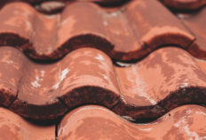 Atap Seng Rusak Keindahan Indonesia, Prabowo Dorong Program Gentengisasi Nasional