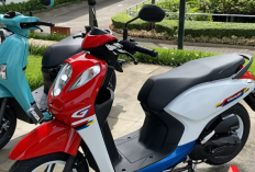 Perbandingan Honda Scoopy vs Honda Stylo 2026: Selisih Harga Rp9 Juta, Mana Lebih Layak Dipilih?