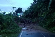 Tujuh Titik Longsor, Akses Jalan Menuju Pinang Belapis Terisolir, Penanganan Pemkab Lebong Terkesan Lamban