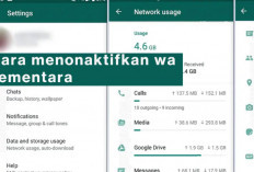 Cara Menonaktifkan WhatsApp Sementara agar Libur Nataru