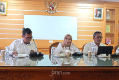 Kemendikdasmen Pastikan 237 Ribu Guru Honorer Berpeluang Jadi ASN Tahun Depan