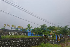 Backhoe Loader Baru Masuk Prioritas PUPR-Hub Lebong 2026