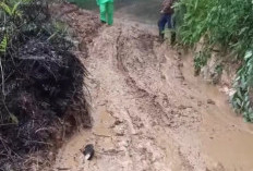Akses Lebong–Curup Sempat Lumpuh Total Akibat Longsor di Tik Kuto