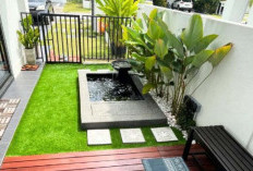 Ide Taman Minimalis Belakang Rumah Modal Rp 3 Juta