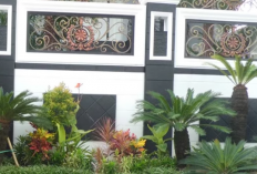 6 Tanaman Depan Rumah Minimalis yang Estetik dan Instagramable