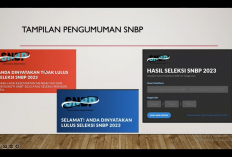 Penyebab Tidak Lolos SNBP 2026 yang Wajib Dihindari Siswa Eligible