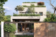 Punya Lahan Sempit? Ini Rekomendasi Pohon Peneduh untuk Taman Kecil yang Adem dan Estetik