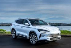 BYD Sealion 06 Disegarkan, Makin Gahar dan Tembus 710 Km