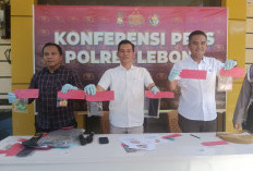 Polres Lebong Bongkar Peredaran Ganja Lintas Kabupaten, 542 Gram Diamankan
