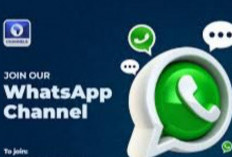 Cara Mengikuti Channel WhatsApp dengan Mudah