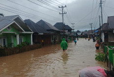 Sungai Ketahun Meluap, Ratusan Rumah di 4 Kecamatan Kabupaten Lebong Terendam Banjir