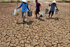 Cara Menghadapi Kemarau Panjang dengan Bijak dan Efektif