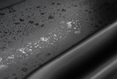 Tips Usir Jamur di Bodi Mobil Dengan Bahan Rumahan 